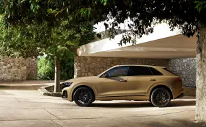 Audi Q8 Restyling 2024 - 63