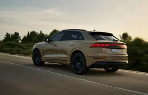Audi Q8 Restyling 2024 - 64