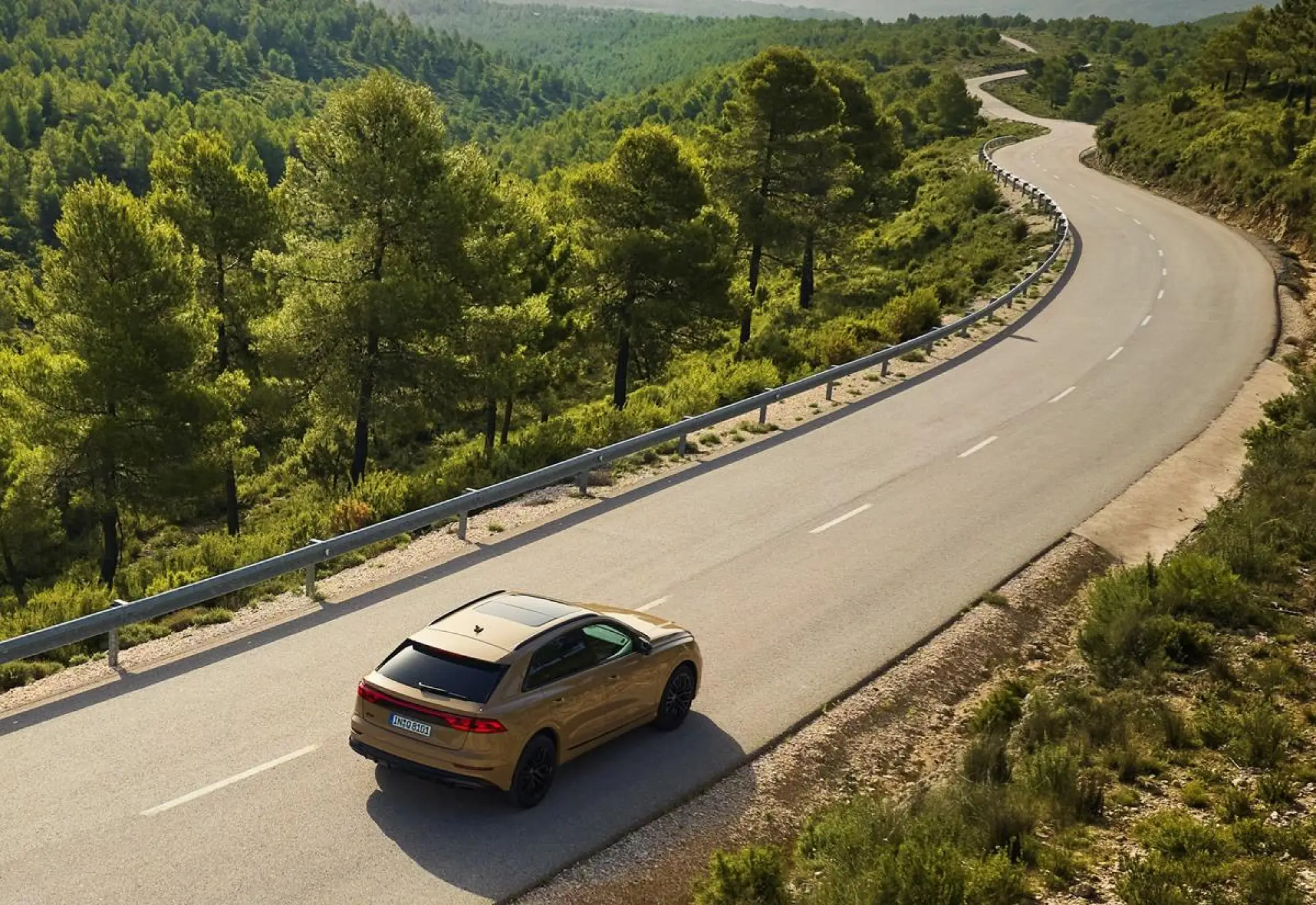 Audi Q8 Restyling 2024 - 80
