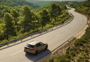 Audi Q8 Restyling 2024 - 80