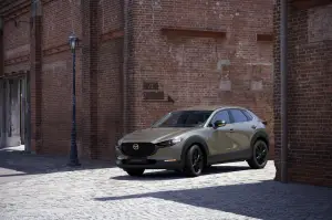 Mazda 3 e CX-30 Nagisa Edition 2024 - 3