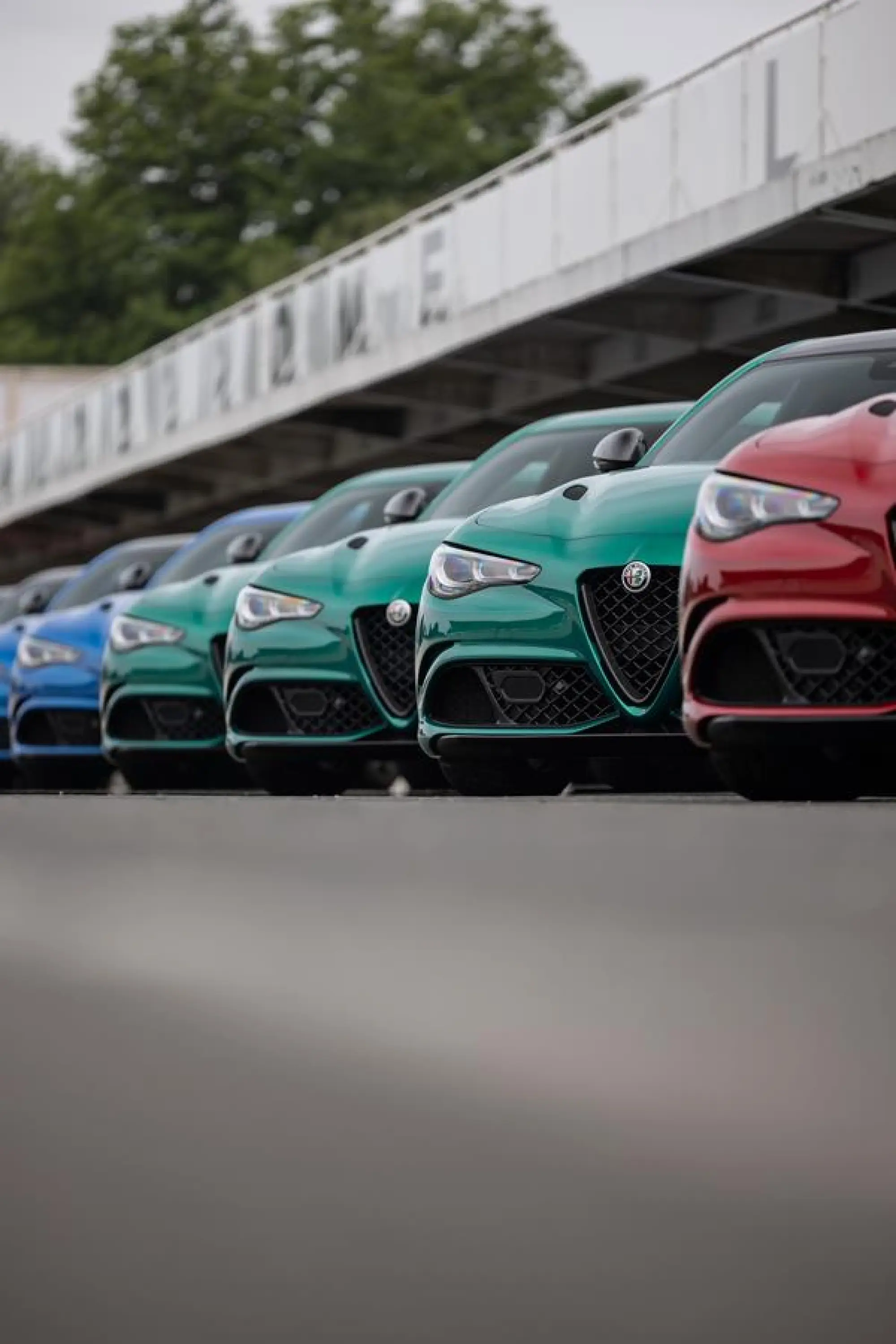 Alfa Romeo Giulia e Stelvio Quadrifoglio 2024 - 41