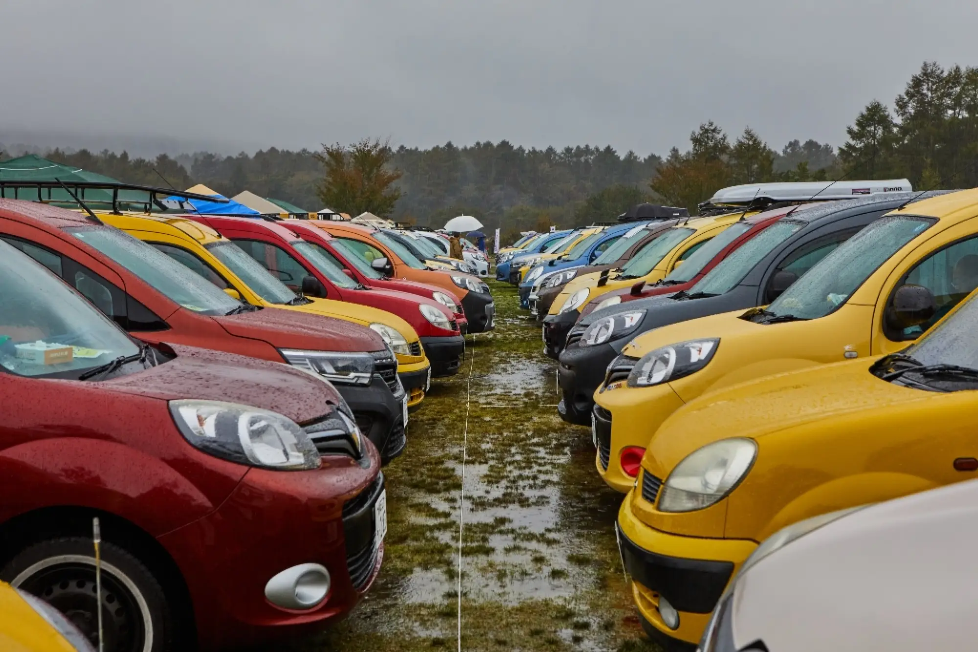 Kangoo Jamboree 2023 - 5