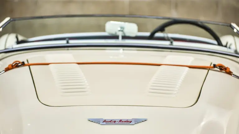 Austin Healey 100M - 19