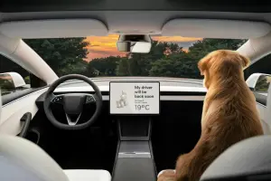 Tesla Model 3 2024 - 29