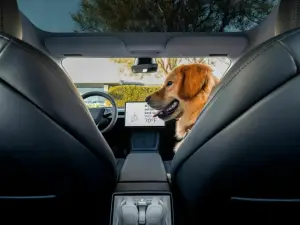 Tesla Model 3 2024 - 39