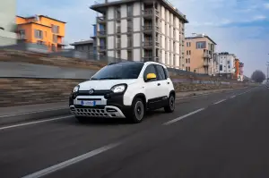 Fiat Pandina - 19