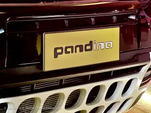 Fiat Pandina - Intervista Galassi - 4