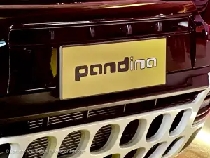 Fiat Pandina - Intervista Galassi