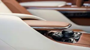 rolls royce droptail arcadia - 12