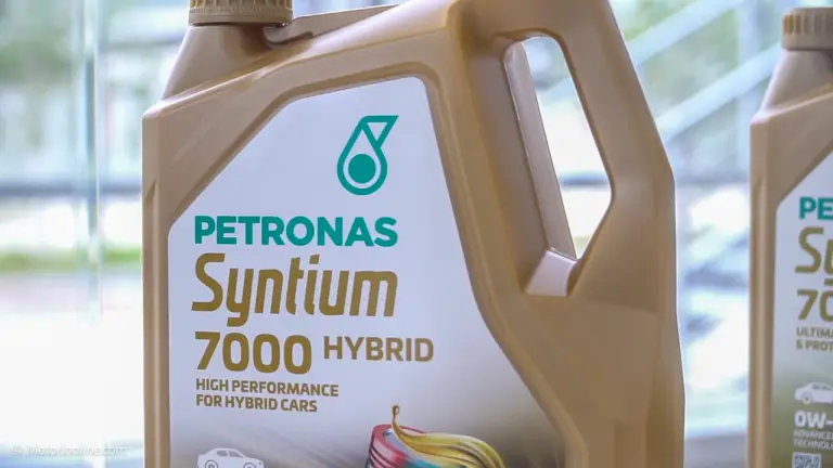5 Cose da Sapere su Petronas - 33