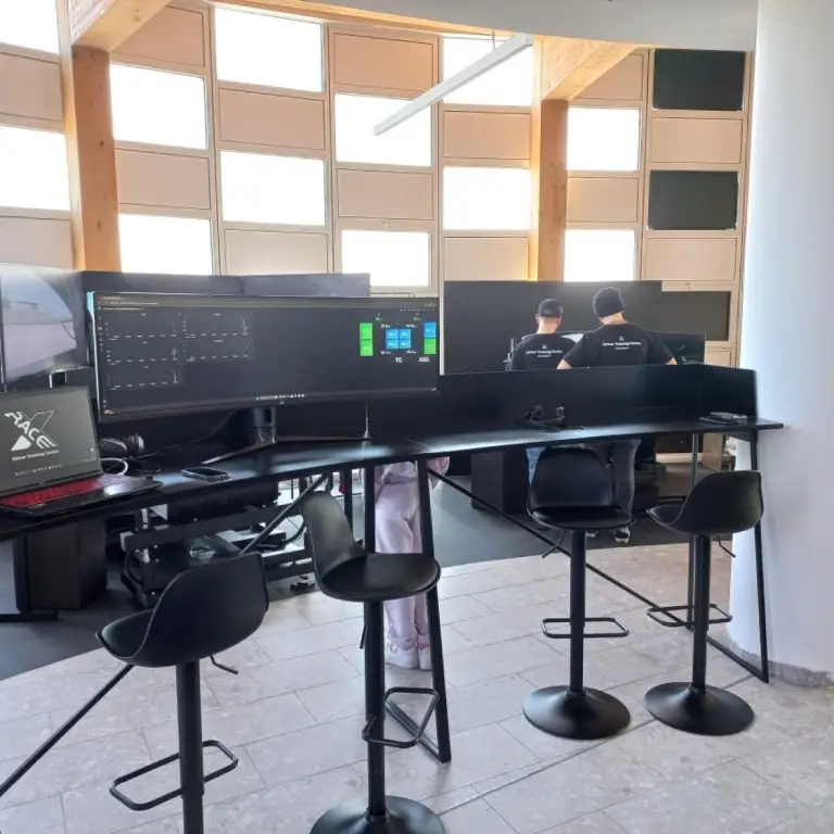 Driving Simulation Center RaceX - Arese - 2