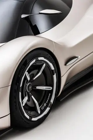 Pagani Alisea - Concept IED Torino 2024