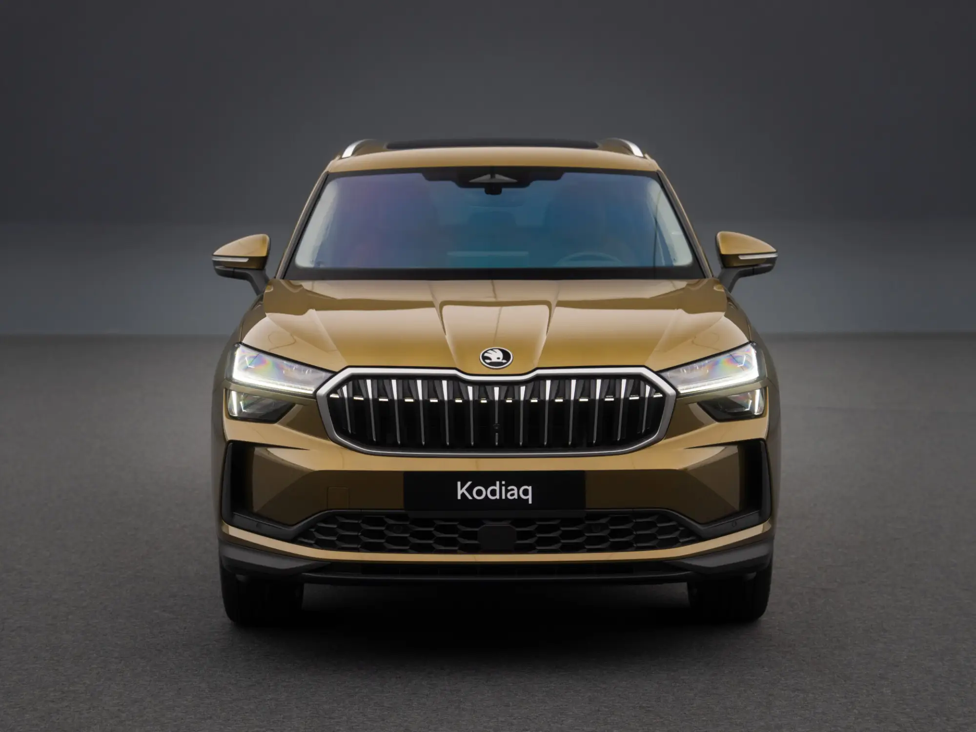 Skoda Kodiaq 2024 - 9