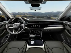 Audi Q7 e Audi Q8 TFSI e quattro