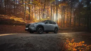 Nissan X-Trail N-Trek - 19