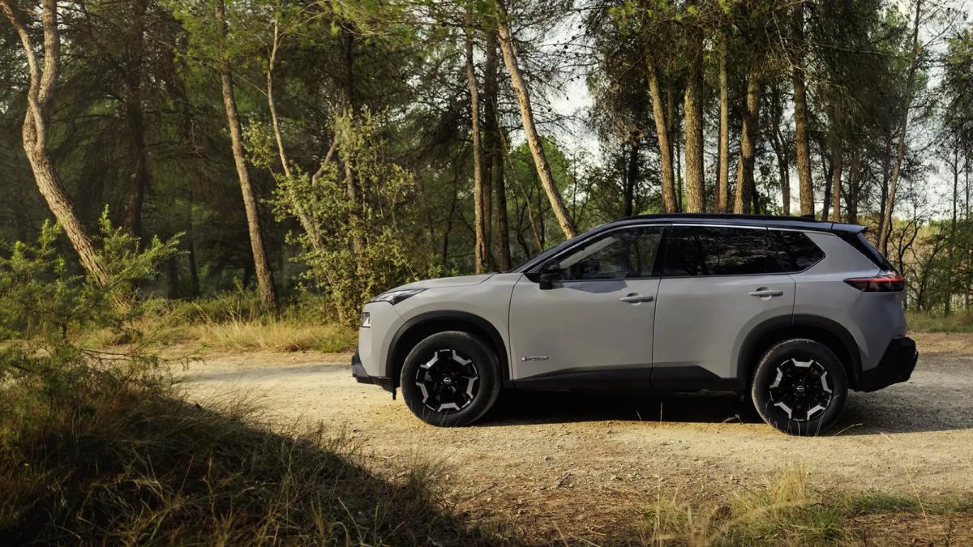 Nissan X-Trail N-Trek - 17