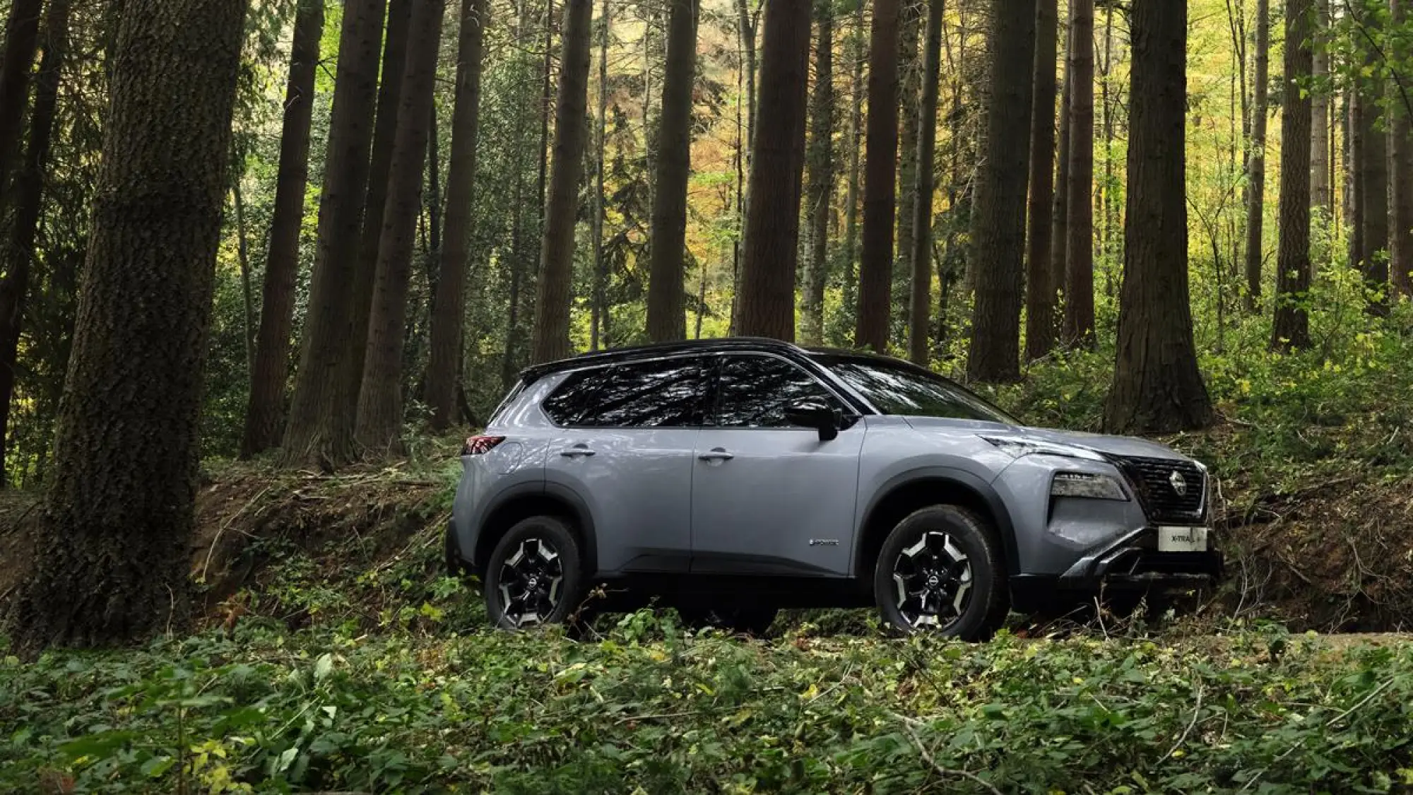 Nissan X-Trail N-Trek - 3