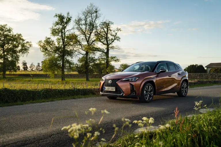 Lexus UX 300h - Prova Bordeaux - 6