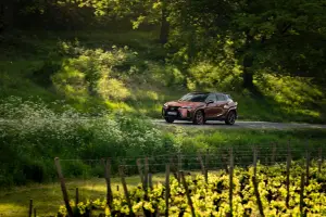 Lexus UX 300h - Prova Bordeaux