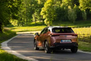 Lexus UX 300h - Prova Bordeaux