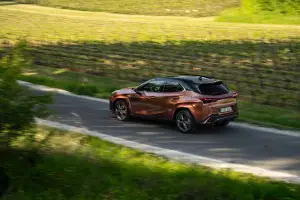 Lexus UX 300h - Prova Bordeaux