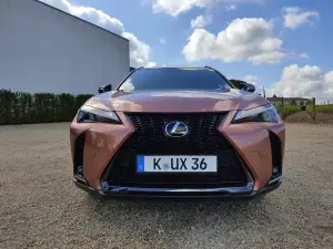 Lexus UX 300h - Prova Bordeaux
