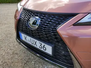Lexus UX 300h - Prova Bordeaux - 5