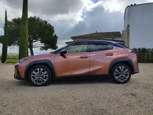 Lexus UX 300h - Prova Bordeaux