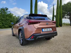 Lexus UX 300h - Prova Bordeaux