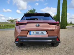 Lexus UX 300h - Prova Bordeaux