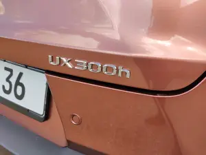 Lexus UX 300h - Prova Bordeaux - 9
