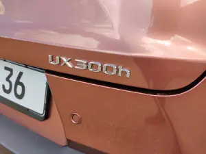 Lexus UX 300h - Prova Bordeaux
