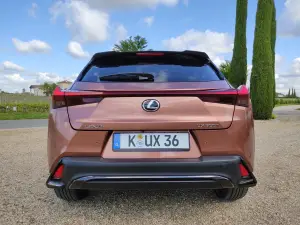Lexus UX 300h - Prova Bordeaux