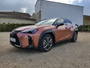 Lexus UX 300h - Prova Bordeaux