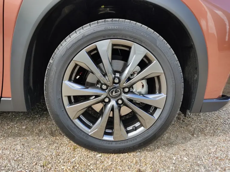 Lexus UX 300h - Prova Bordeaux - 31