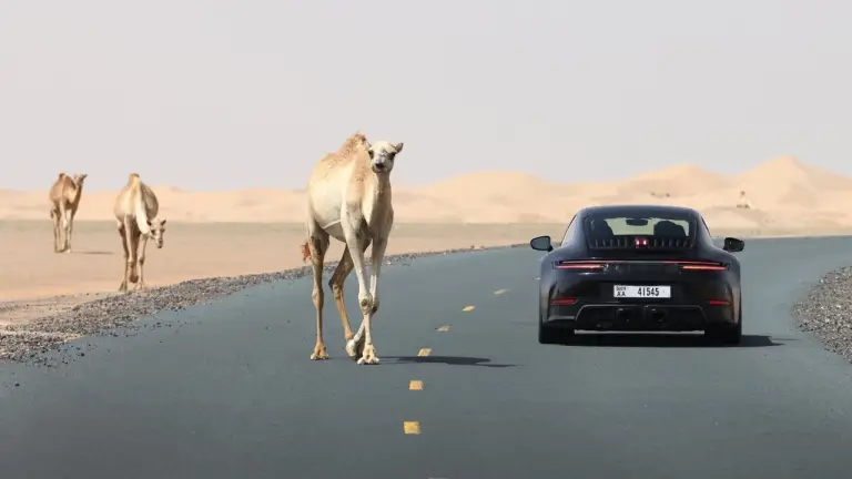Porsche 911 ibrida - Test di collaudo - 3