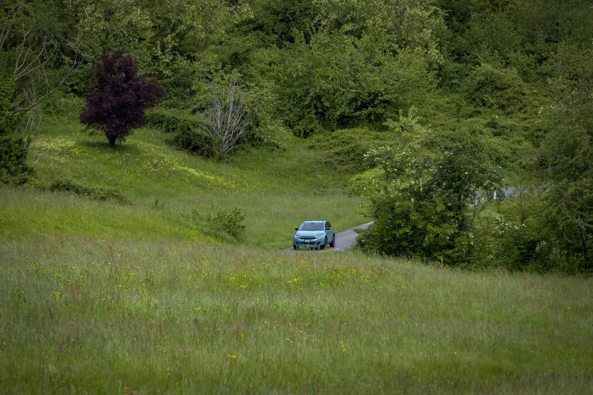 Fiat 600 Hybrid - 24