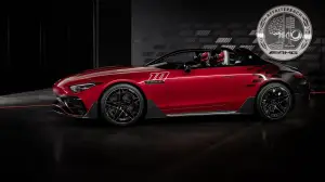 Mercedes-AMG PureSpeed - 7
