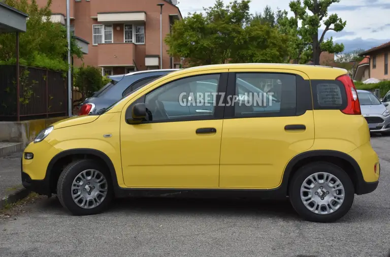 Fiat Pandina 2024 - 4
