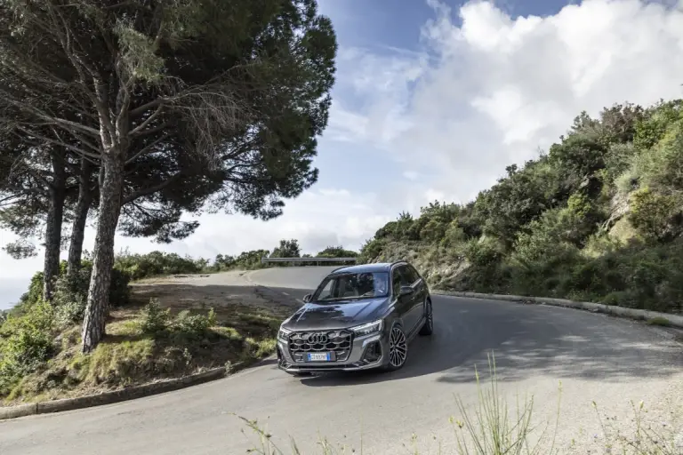 Audi Q7 2024 - 21