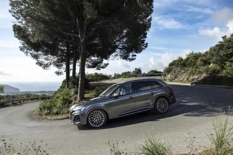 Audi Q7 2024 - 17