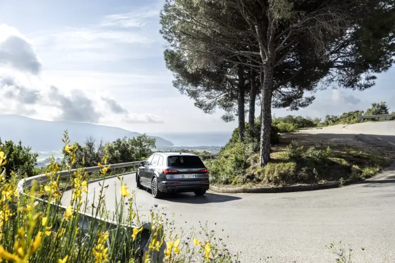 Audi Q7 2024 - 19