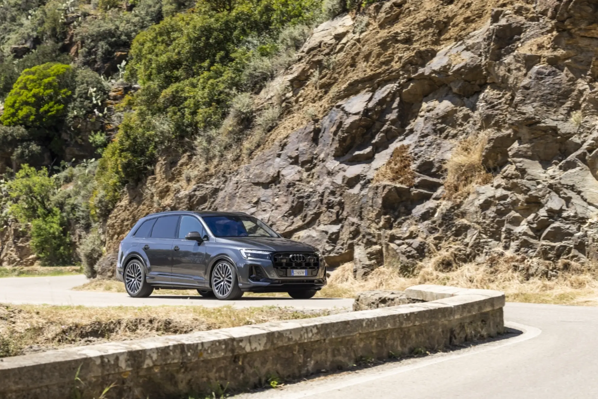 Audi Q7 2024 - 25