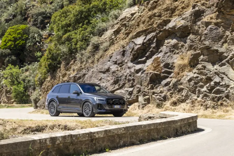 Audi Q7 2024 - 25