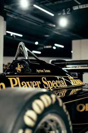 Ayrton Senna Forever - Foto by Mattia Bortoluzzi - 11