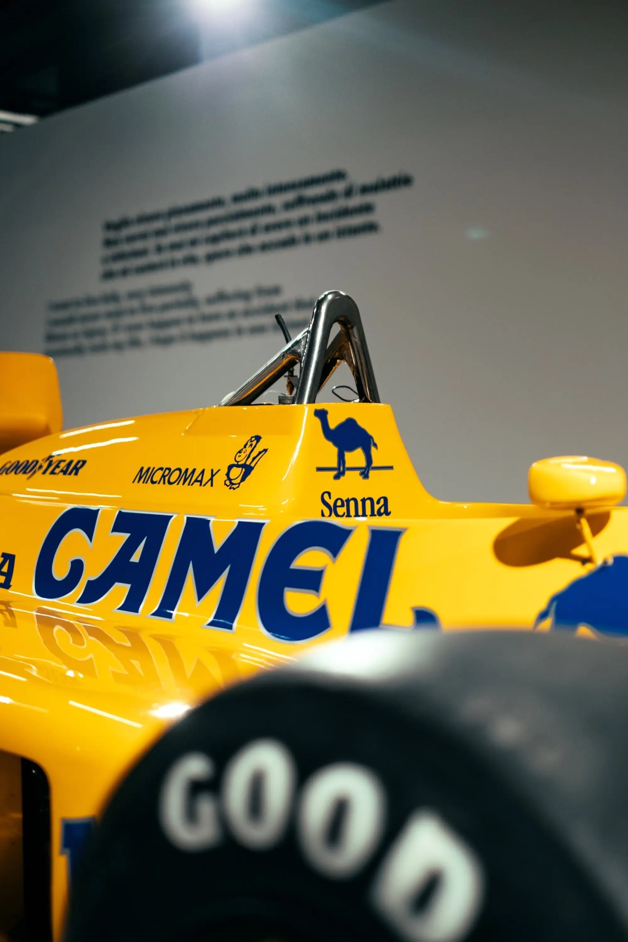 Ayrton Senna Forever - Foto by Mattia Bortoluzzi - 22