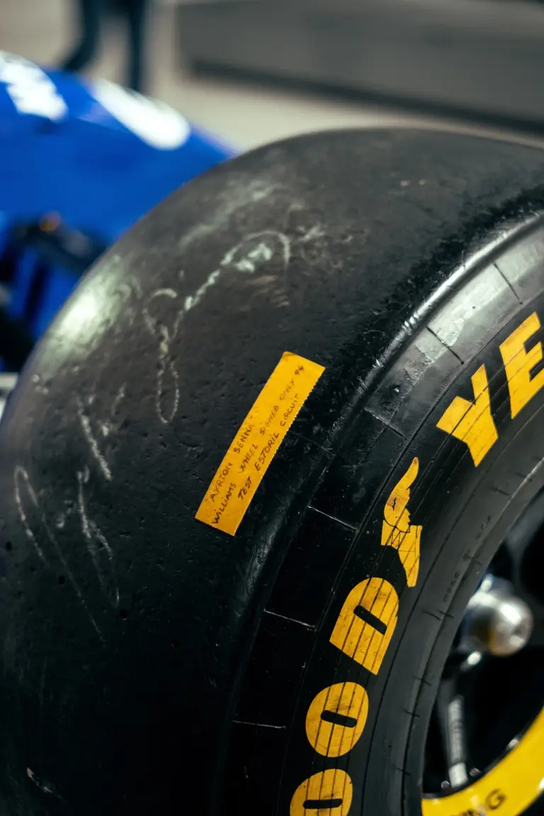 Ayrton Senna Forever - Foto by Mattia Bortoluzzi - 21