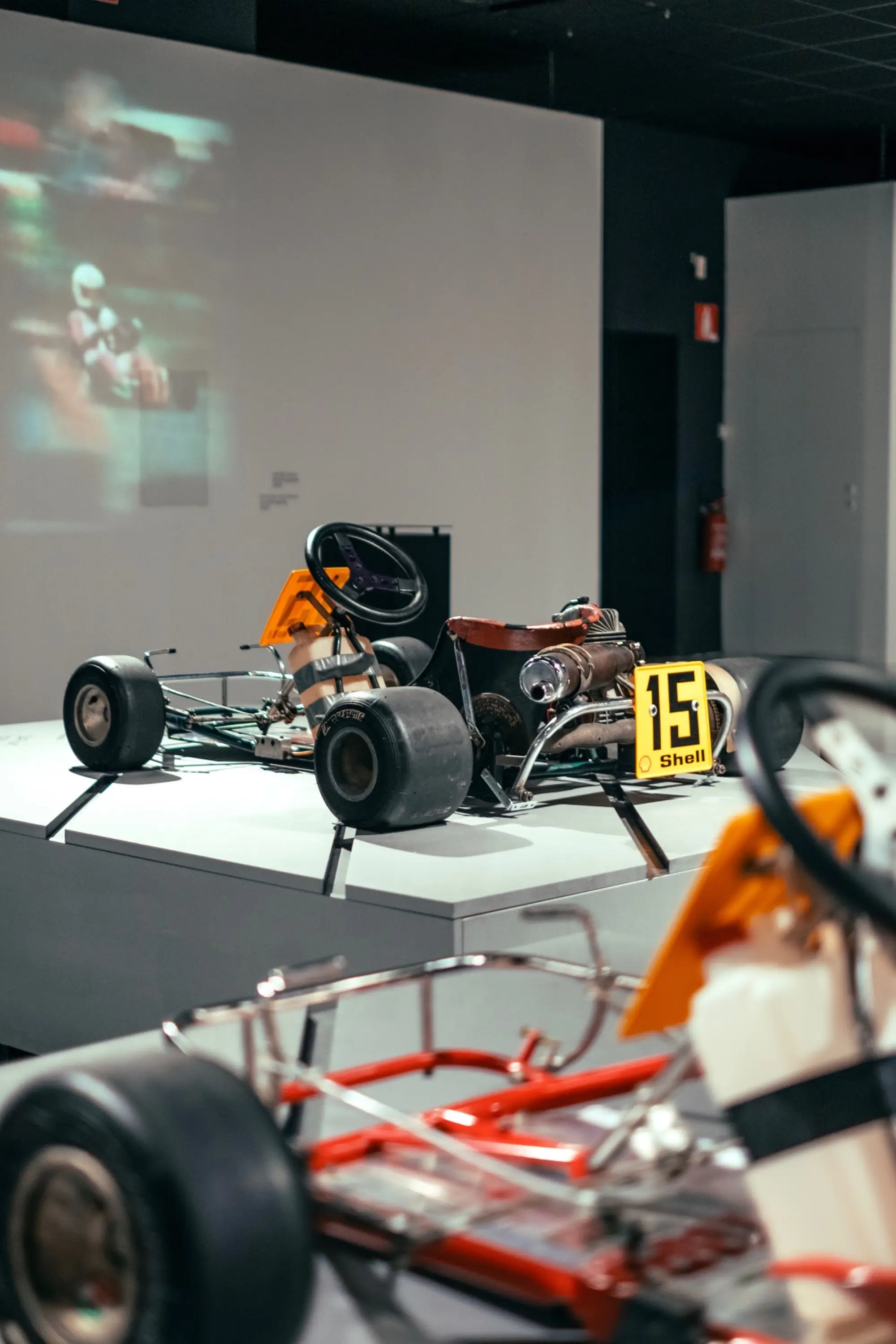 Ayrton Senna Forever - Foto by Mattia Bortoluzzi - 29