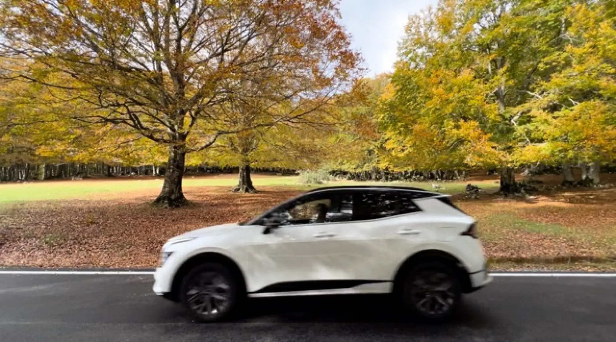 Kia Sportage HEV - 7